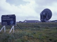 Goonhilly Down Lizard